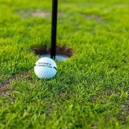 Апартаменты In Lapland - Levihovi 6c *